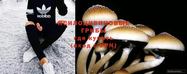 ПСИЛОЦИБИНОВЫЕ ГРИБЫ Алзамай