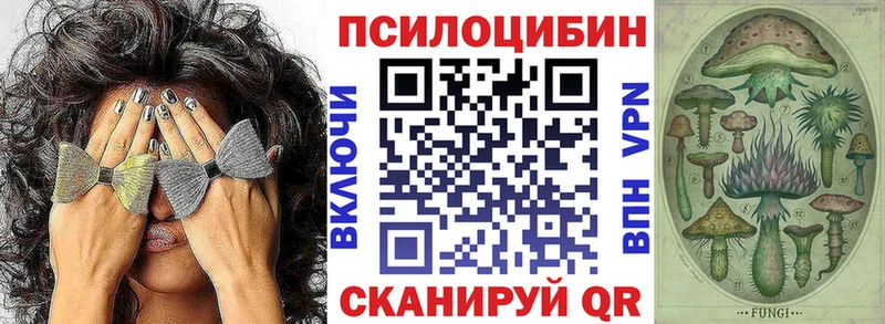 как найти наркотики  Усть-Кут  нарко площадка клад  Псилоцибиновые грибы ЛСД 